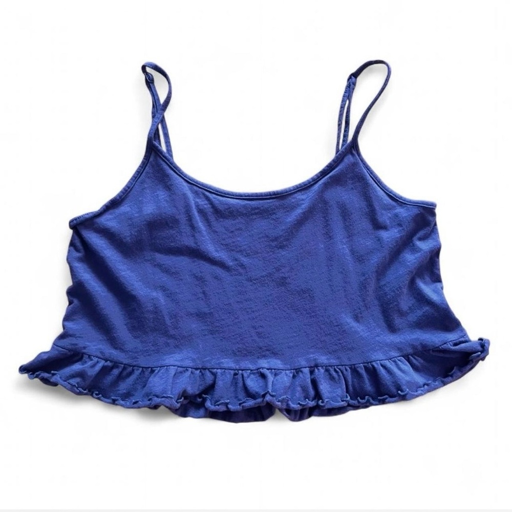 American Eagle Outfitters Grey Blue Ruffle Crop Top